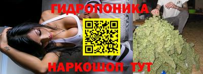 MDMA Краснознаменск