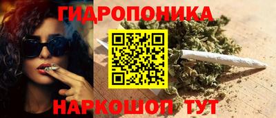 прущие грибы Краснодар