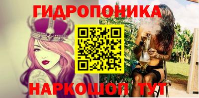 прущие грибы Краснодар