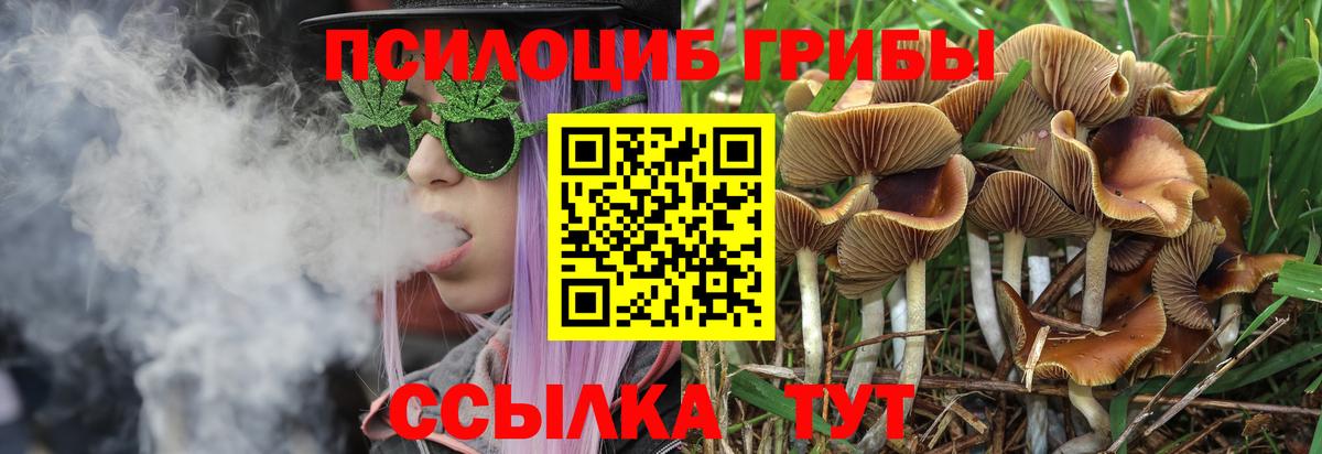 Клинцы  Галлюциногенные грибы мицелий  Вход с VPN 